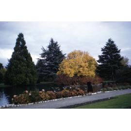 Duck Pond at Cornwall Park, Hastings