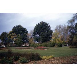Trees and Flower Beds at Cornwall Park, Hastings