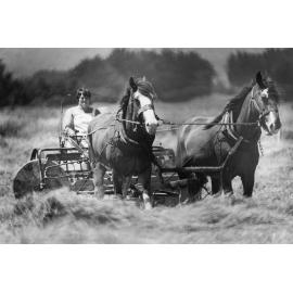 Woman Drives Horse Drawn Farm Vehicle