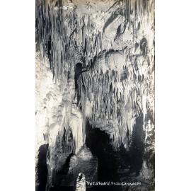 Waitomo Caves