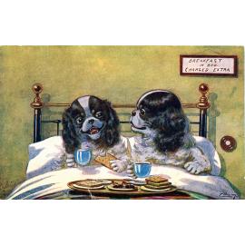 Breakfast in Bed