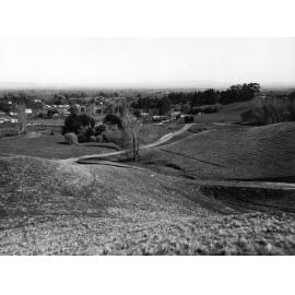 New Road in Havelock North
