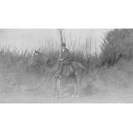 Woman Poses on Horse