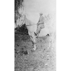 Grey Horse with Gentleman Rider