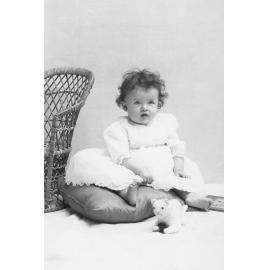Studio Portrait of a Toddler