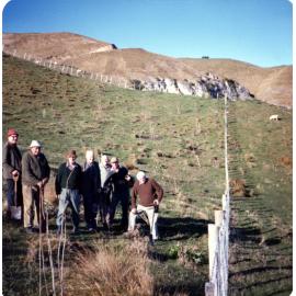 Tree Planting