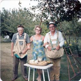 Picking Pears