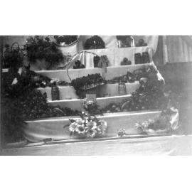WDFF Fruit and Floral Display