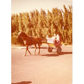 Santa in a Horse Drawn Cart