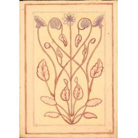 Flower and Leaf Drawing