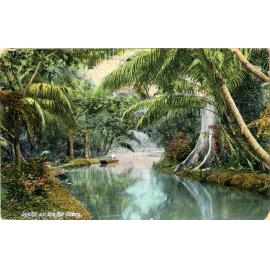 Jamaican Postcard