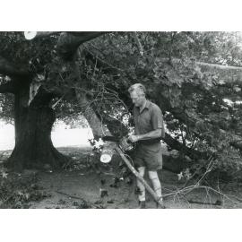 Cutting of Damaged Oak Tree, St Luke's Church