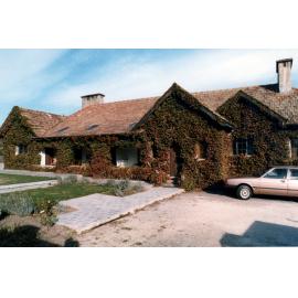 Ivy Covered Whare Ra, 1983