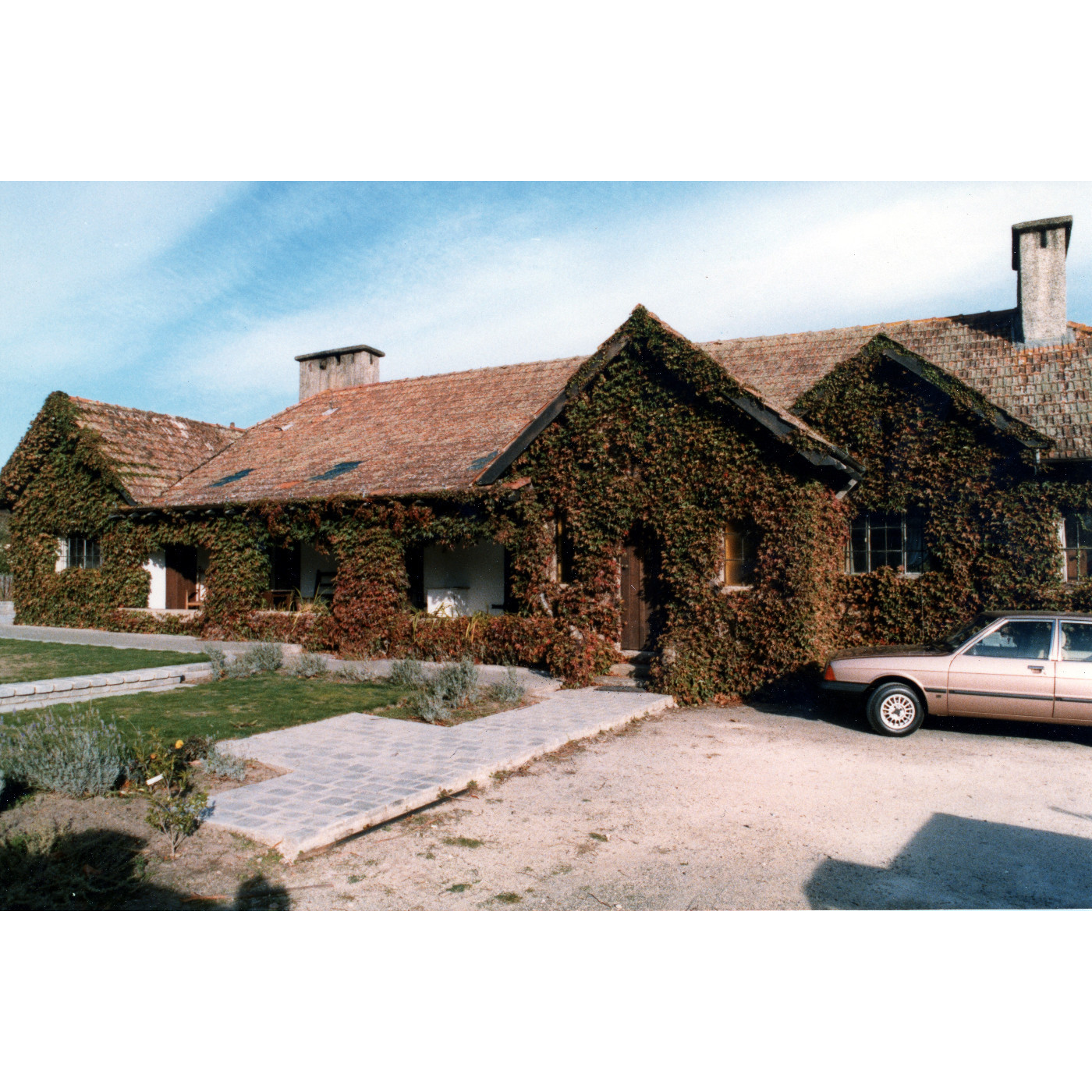 Chapman-Taylor Collection