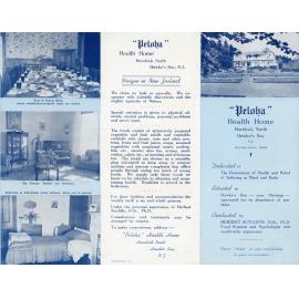Peloha Health Home Brochure