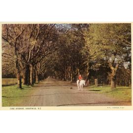Oak Avenue, Hastings