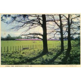 Spring Time, Heretaunga Plains