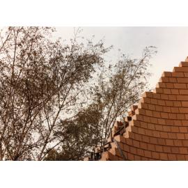 Brick Construction at Gas Works