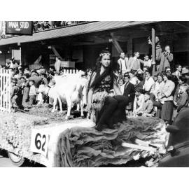 Pania Stud Float - Hastings Blossom Festival 1959