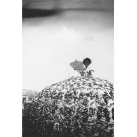 Lambert's Orchard Float - Hastings Blossom Festival 1952