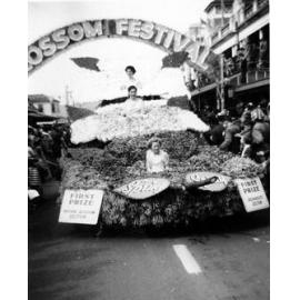 Thodey's Orchard Float - Blossom Festival Parade 1958