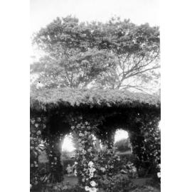 Hastings Borough Council Float - Hastings Blossom Festival 1954