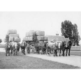 Horses with Wool Wagons