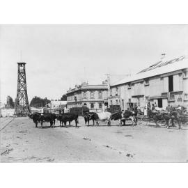 Bullock Team at Railway Yards, Hastings