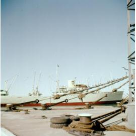 Knight Templar at Napier Wharf