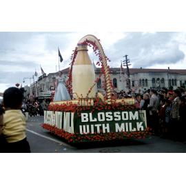 Blossom with Milk 1957