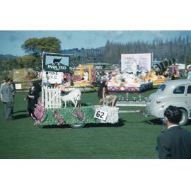 Pania Stud Float - Hastings Blossom Festival 1959