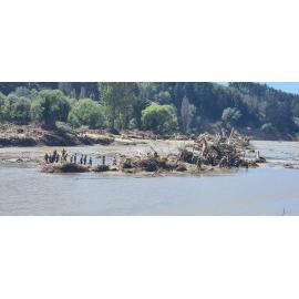 Defence Force River Crossing