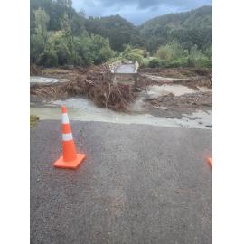 Big Hill Road Bridge Kereru