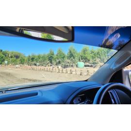 Wine Barrels in Orchard