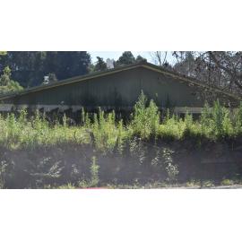 Rissington Home in Silt